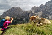 Dal Rif. Mulaz al Sasso Arduini e trekking del Cristo Pensante con anello del Monte Castellazzo il 14 agosto 1017 - FOTOGALLERY